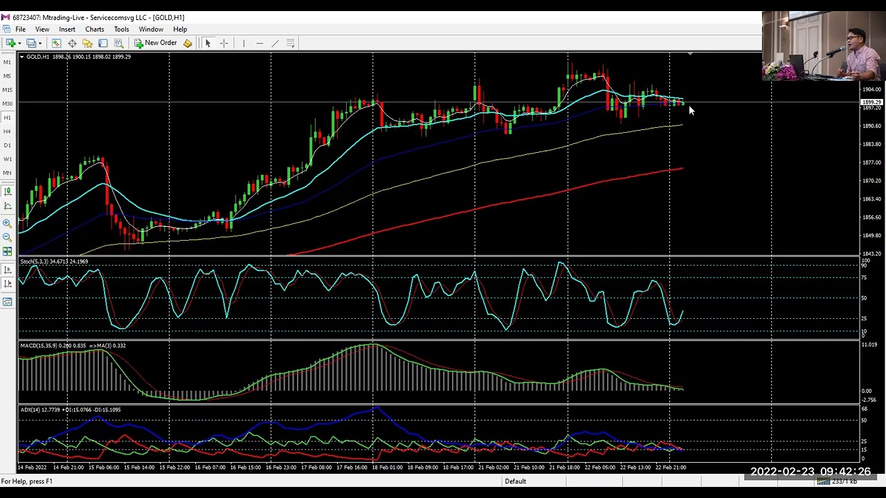 การแบ่งส่วนตลาด คือ 2022 New XAUUSD 23 /02/2565 By..MeePooh คนบร้า..ทอง