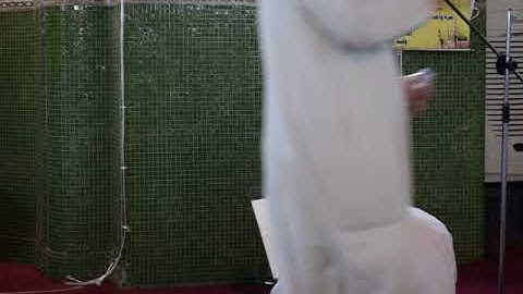 القارئ حسن الزبيدي وماتيسر له من سورة الجمعة في جامع 17 رمضان