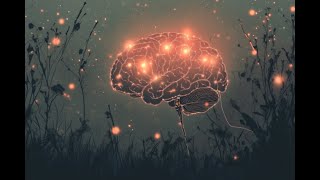 Famous Vagus Nerve Stimulation Shows Promise in Erasing PTSD Wealth