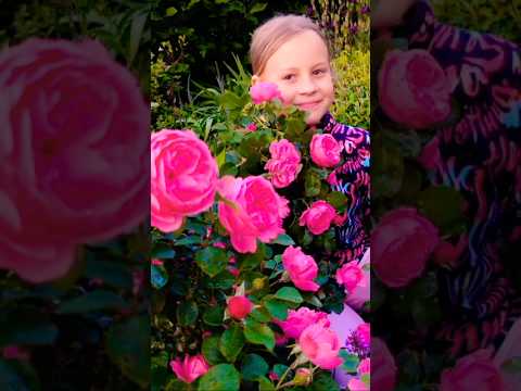 🌸цветущий сад вечер у сестры мужа👍#ландшафтныйдизайн
