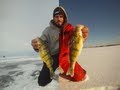 Ice Fishing Perch 2013 