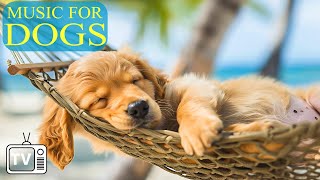 Cure Anxiety With Music for Dog: Fast Prevent Boredom & Anxiety with Music for Dog  DOG TV