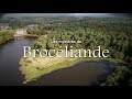 Les mystères de Brocéliande vus depuis un drone