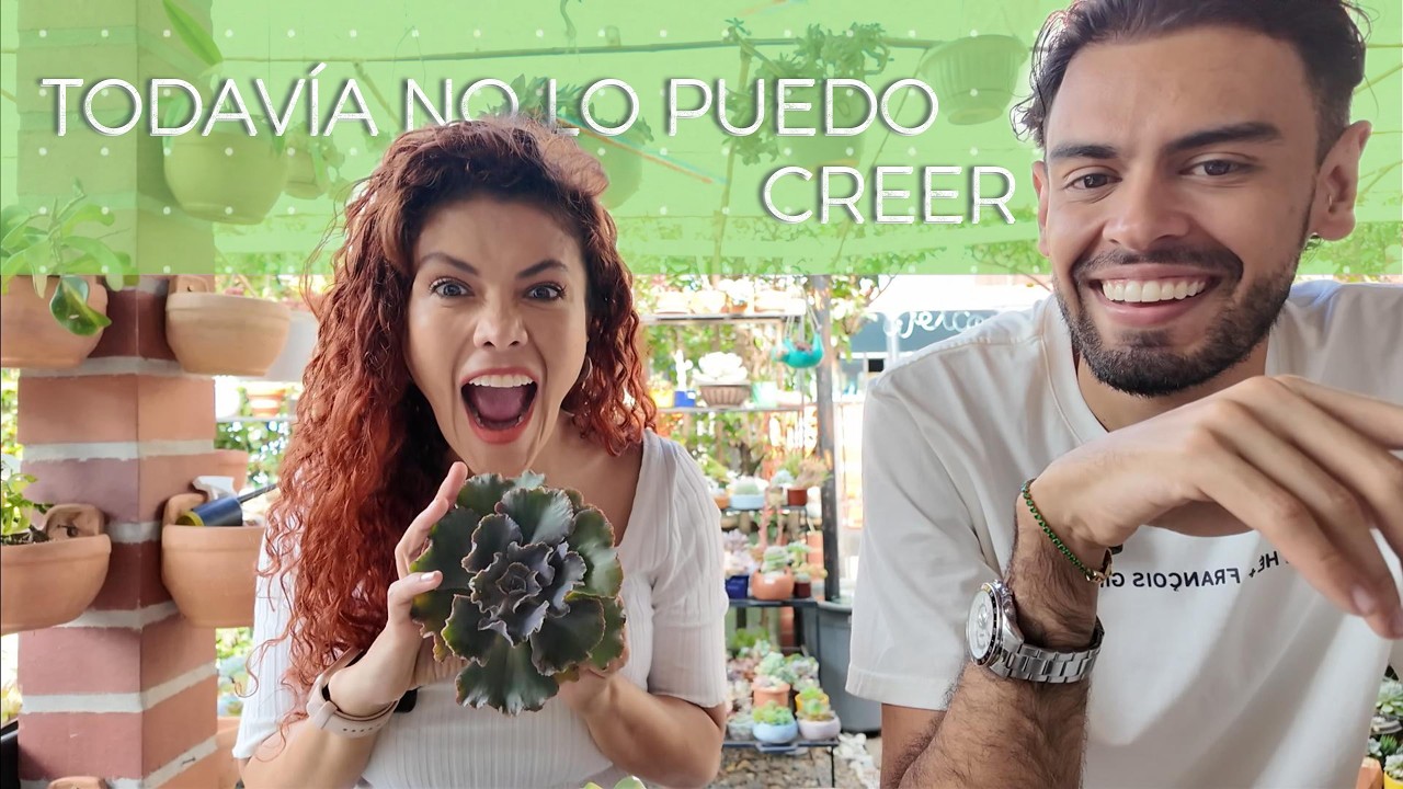 Me regalaron SUCULENTAS de MILLONES de pesos… (quedé en shock)