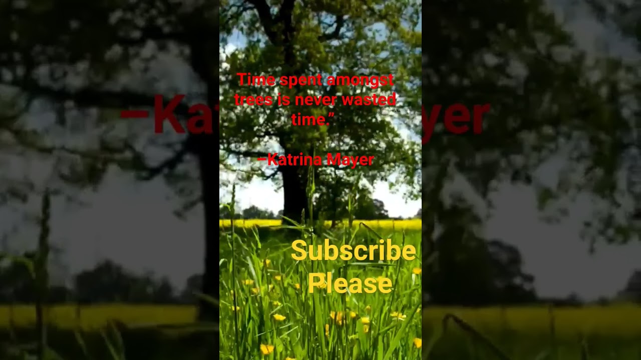 Time spent amongst trees is never wasted time.” 