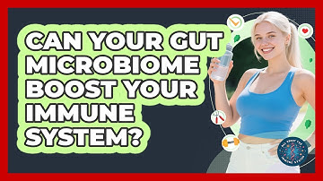 Can Your Gut Microbiome Boost Your Immune System? - All About the Immune System