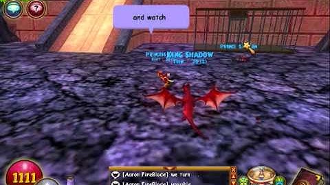 Wizard 101 Glitch 1 (Turn into your pet or Be invisible)