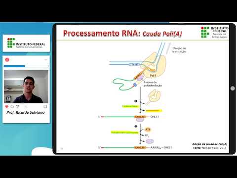 Vídeo: Qual é a função da cauda de 5 cap e poli A?