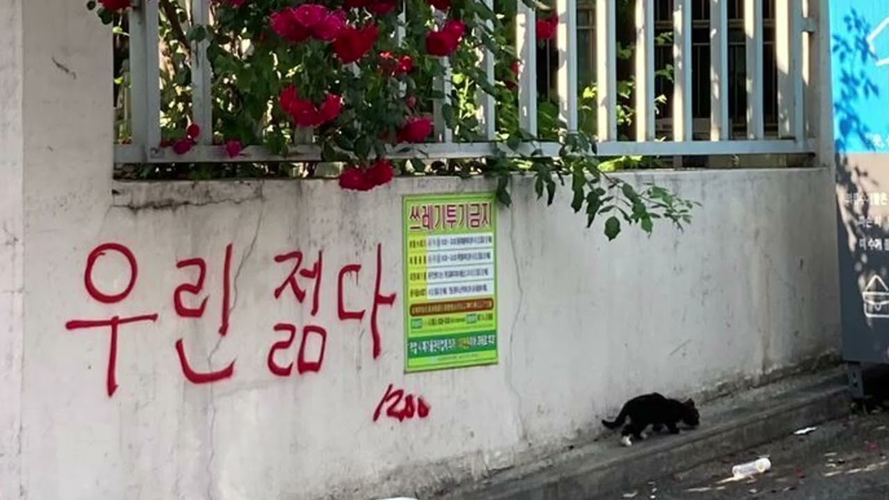 흔들리는 건 우리가 살아있다는 증거