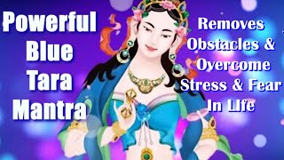 Most Powerful Blue Tara Mantra - 108 Times | Removes Obstacles, Fear & Stress |Jai Tara Ma | Pronali