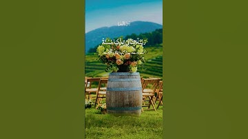 #القرآن_الكريم#تلاوة_خاشعة#تلاوة_هادئة#البقرة#دعاء#عبدالرحمن_مسعد#fypシ#viralquran#viral#viralvideo