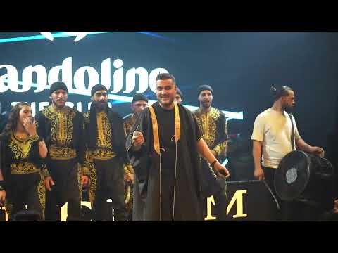 ادهم القاق دبكة ودبيكة يا عبدو طلقني اهلا هلا 2025