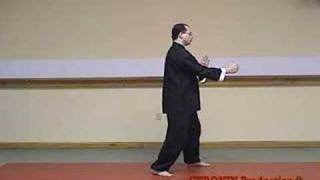 Tai Chi Withdraw Push