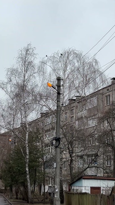 Экономия электричества днем #электричество #экономия - YouTube