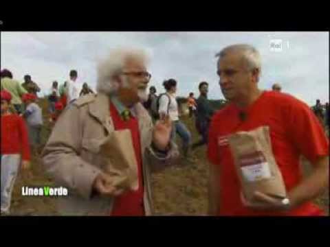 seminare-il-futuro-2013---trasmissione-linea-verde-del-27/10/2013