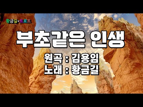 [Cover]   황금길 - 부초같은 인생 (원곡 /김용임) 영상가사