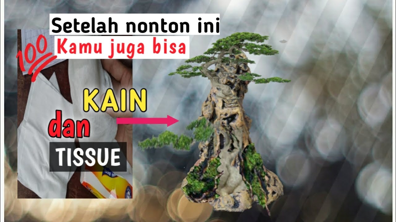 Karang buatan menggunakan Kain dan Tissue|how to make a rock bonsai