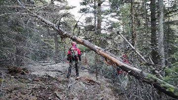 GSAR training 2019: Grid searching