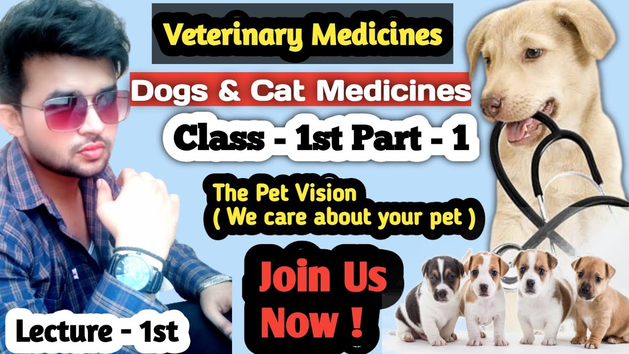 Dog Medicines Veterinary Medications Class Ist Part 1