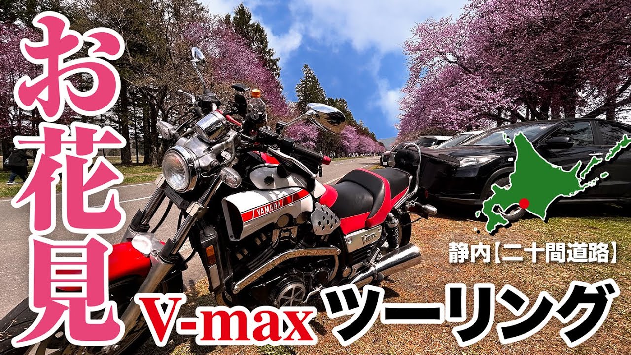 【北海道・静内】二十間道路のお花見ツーリング〜北海道ツーリング【モトブログ／V-max】