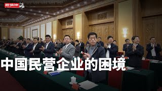 留置！系在政商大佬脖子上的繩索｜從王健林馬雲到中產偽中產无一幸免｜民企從繁榮到衰敗｜孫大午悲劇｜（20250818第703期）#財經觀察