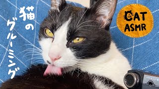 CAT ASMRThe sound of a cat grooming its skin #148