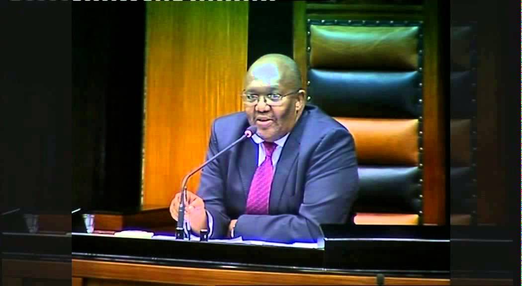 Parliament Plenary: EFF calls Deputy of Defence a "liar"