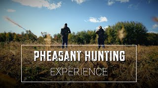 PHEASANT HUNTING EXPERIENCE AT APPLE CREEK WHITETAILS