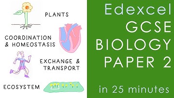 All of Edexcel BIOLOGY Paper 2 in 25 minutes - GCSE Science Revision