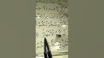 سورة ابراهيم الأية 32 إلى 33 القارئ سعد الغامدي #قرآن_كريم