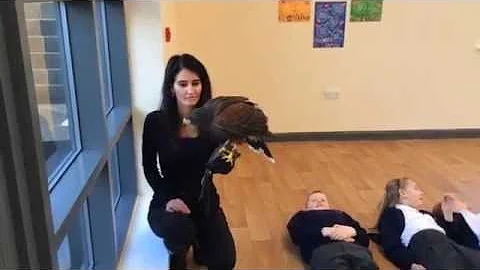 Cumberworth First School bird of prey display