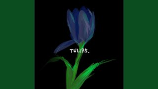 Tulips (happy times)