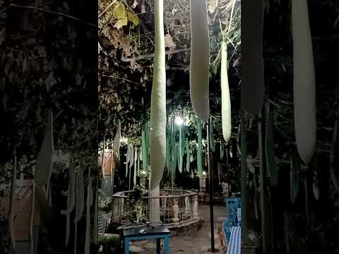 Κυνηγετικός Σύλλογος Μελίνης
