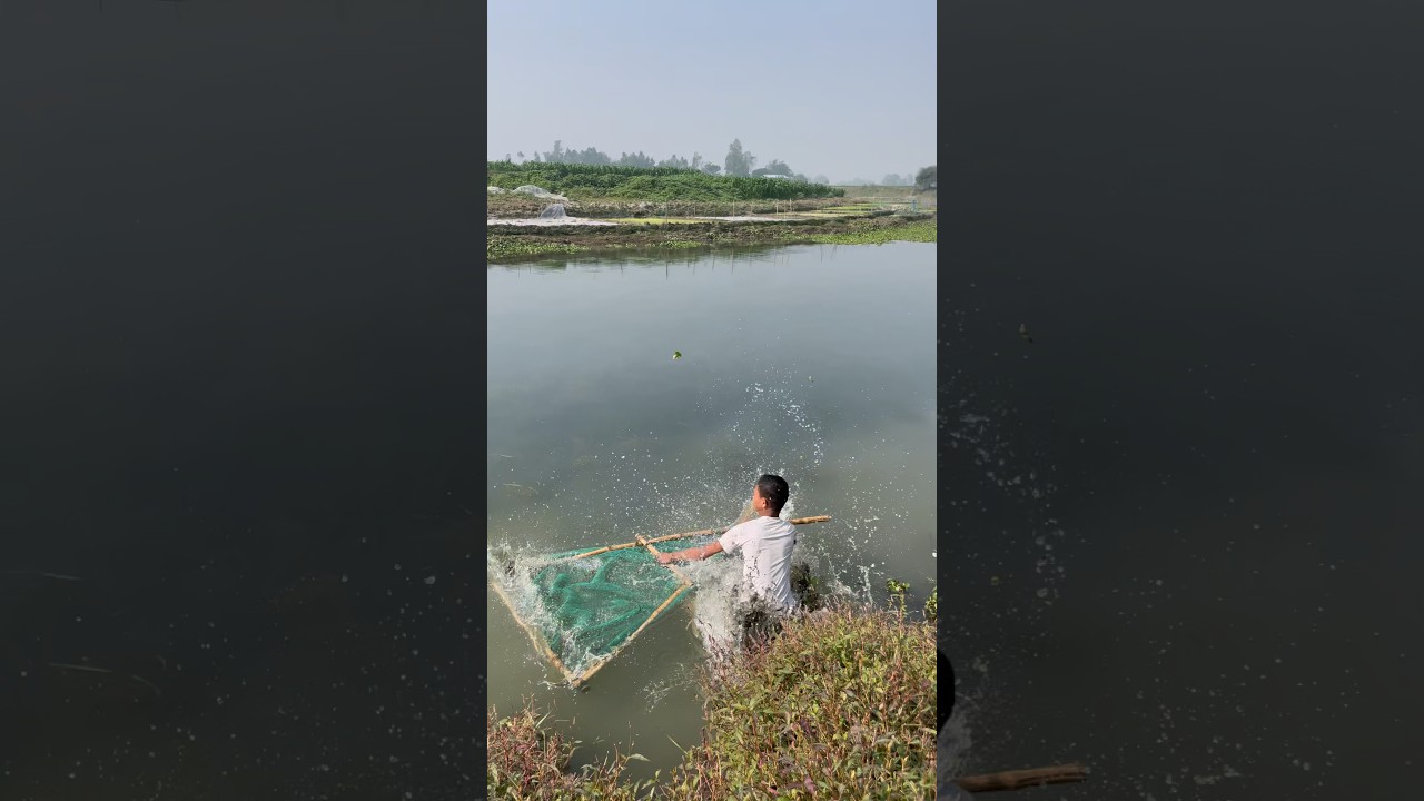 Village Hand Net Fishing Nobody Can Beat 