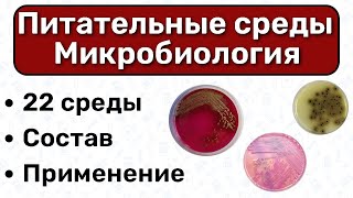 Питательные среды МИКРОБИОЛОГИЯ: виды питательных сред, применение питательных сред, состав