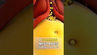 The belly fat mistake everyone makes #weightloss #nutrition #fatloss