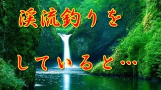 【閲覧注意・怖い話心霊動画・心霊スポットやばい体験談】【山梨県】渓流釣りをしていると上流からとんでもないのが流れてきた【朗読】