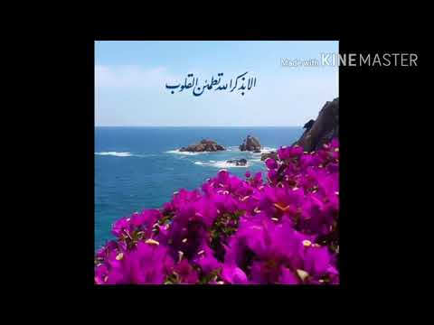 لا اعلم كيف ابتدء صباحي باشراقتكم الجميلة رجاء