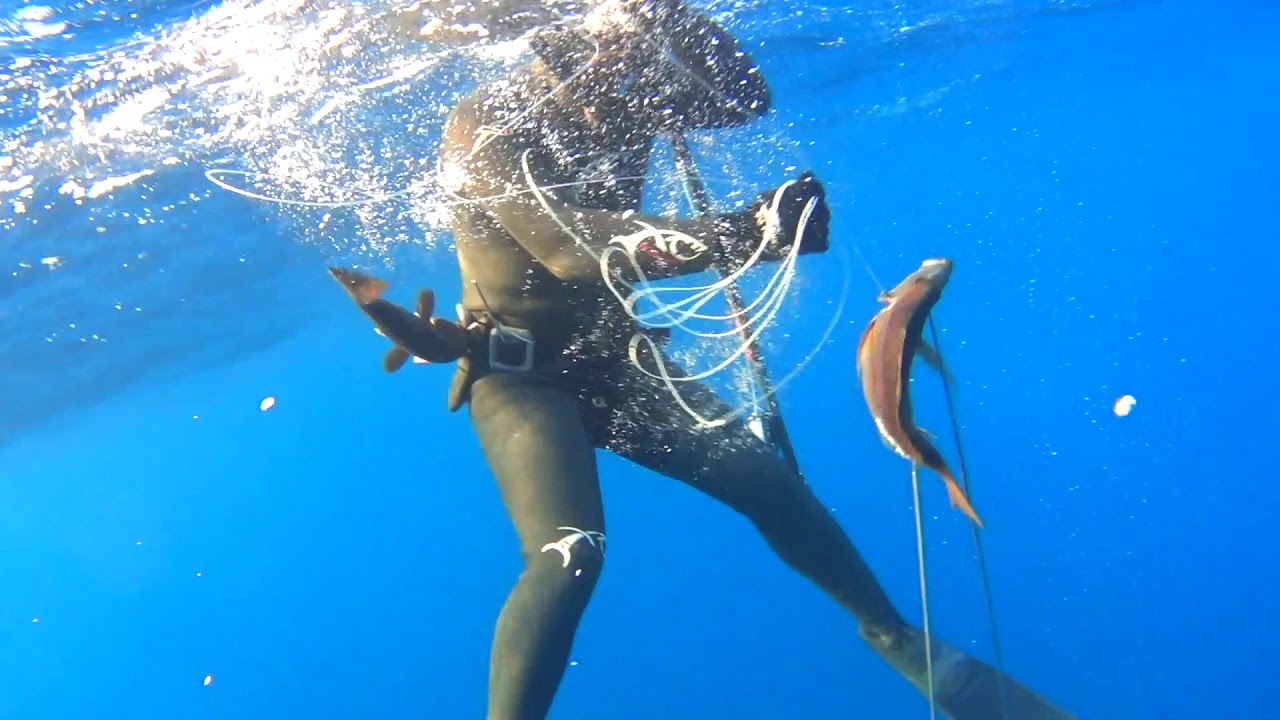 summer 2018 spearfishing in Greece YouTube