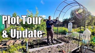 Plot Tour and Updates | How are things going? | Allotment Life