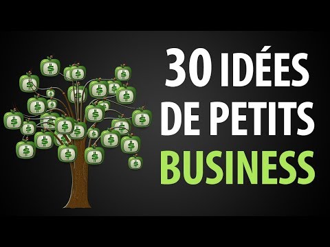 Vidéo: Comment Obtenir De L'aide Pour Les Petites Entreprises