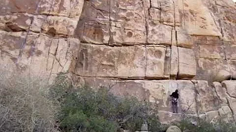 Jessica Ary - Backpacker - Get Out More Tour 2015