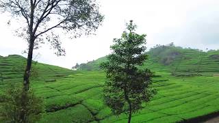 Story WA Pemandangan #25detik #mentahan