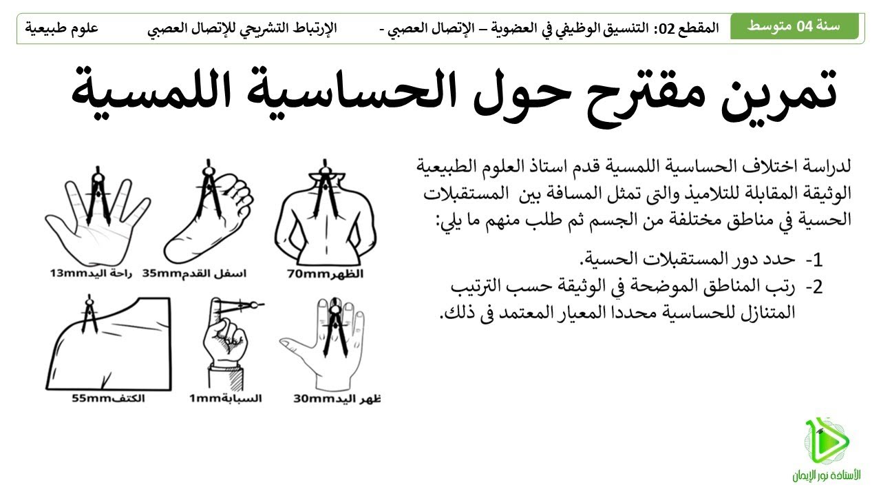 تمرين مقترح لشهادة التعليم المتوسط BEM - الحساسية اللمسية للجلد - المستقبلات الحسية -  04 متوسط