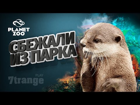 Видео: БРАЗИЛЬСКАЯ ВЫДРА #20 | Planet Zoo