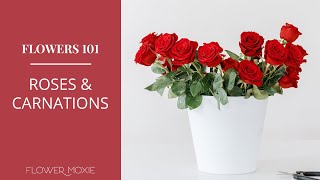Rose and Carnation Care 101   How to Care and Expedite Opening Tips!
