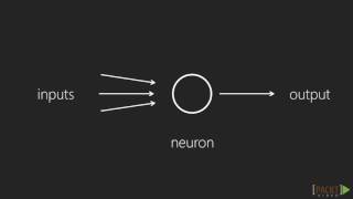 245   Building a Perceptron