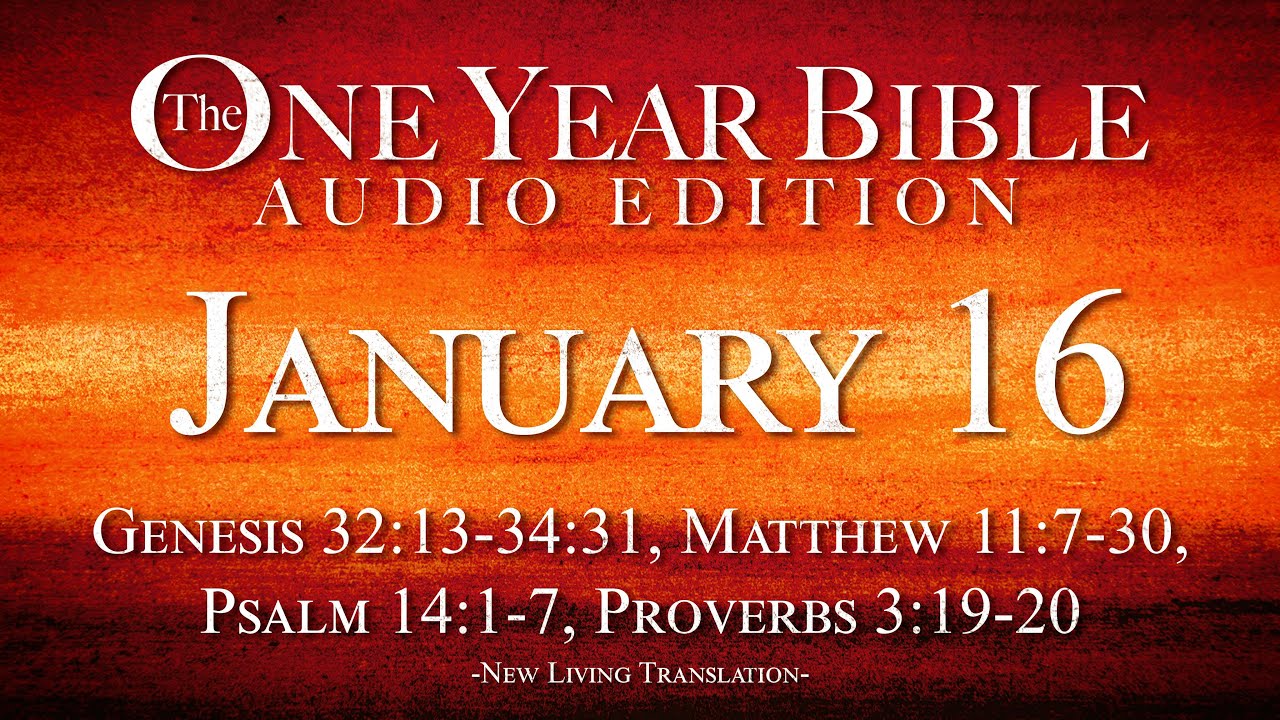 January 16 Scripture Picture January 16 | One Year Bible Audio Edition - YouTube
