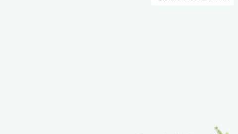 Differential Equations Nov 2019. A levels Maths 9709 P3