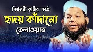 হৃদয় কাঁদানো তেলাওয়াত || ক্বারী সাইদুল ইসলাম আসাদ  quri saidul islam asad tilawat